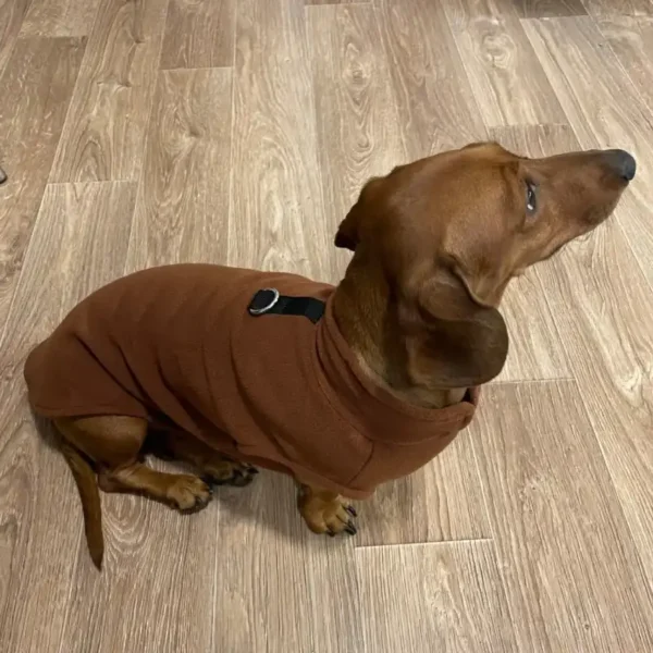 fleece-dachshund-jacket-weenieland-shop-2 Fleece Dachshund Jacket