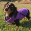 fleece-dachshund-jacket-weenieland-shop-4 Fleece Dachshund Jacket