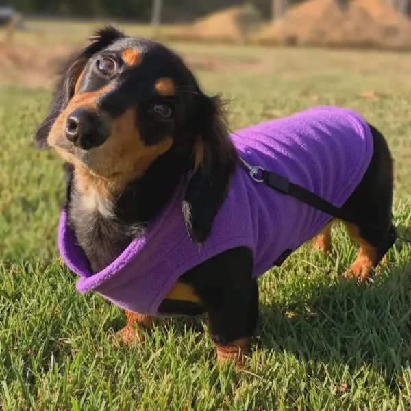 fleece-dachshund-jacket-weenieland-shop-4 Fleece Dachshund Jacket