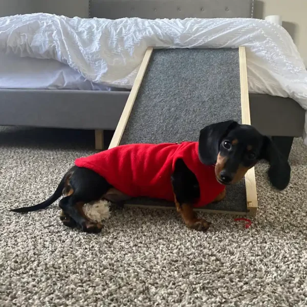 fleece-dachshund-jacket-weenieland-shop-5 Fleece Dachshund Jacket