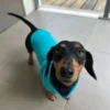 fleece-dachshund-jacket-weenieland-shop-7 Fleece Dachshund Jacket