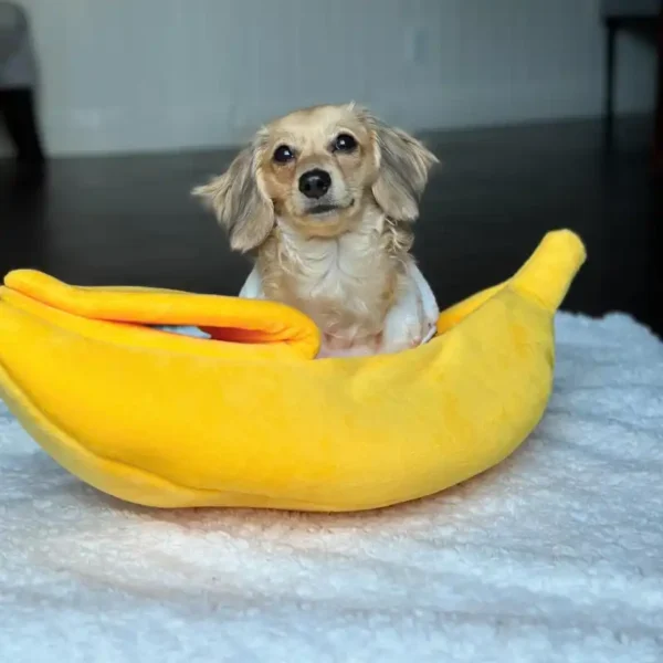 weenieland-shop-banana-dachshund-dog-bed Banana Bed for Dachshund Dog