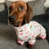 weenieland-shop-sausage-dog-pyjamas Sausage Dog Pyjamas by Weenieland