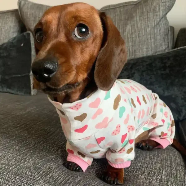 weenieland-shop-sausage-dog-pyjamas Sausage Dog Pyjamas by Weenieland
