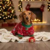 christmas-dachshund-dog-pajamas-weenieland-shop XMAS Dachshund Dog Pajamas