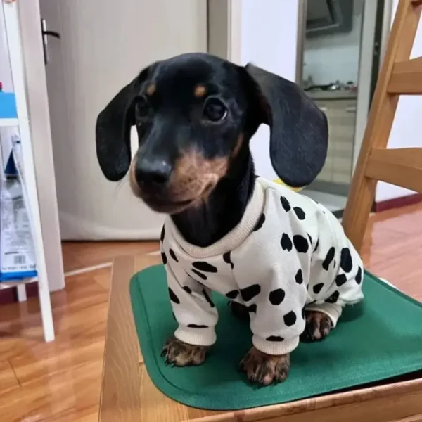 cozy-sausage-dog-pajamas-weenieland-shop-2 Cozy Sausage Dog Pajamas
