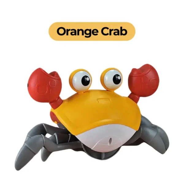 crawling-crab-dog-toy-weenieland-shop-orange Crawling Crab Dog Toy