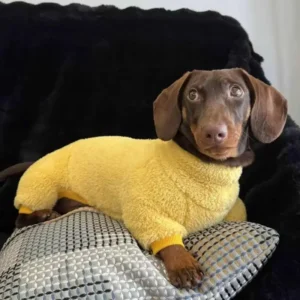Dachshund Fleece Jumpsuit