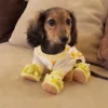 ducky-sausage-dog-pjs-weenieland-shop-2 Ducky Sausage Dog Pj's