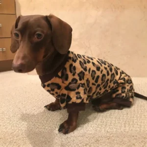 Leopard Wiener Dog Jumpsuit