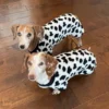 mooweenie-dachshund-pajamas-weenieland-shop-2 "MooWeenie" Dachshund Pajamas