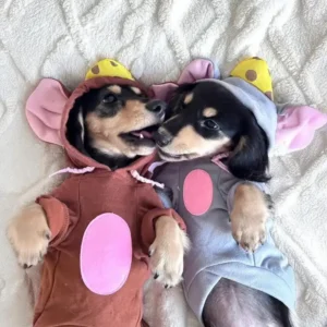 Mouse Halloween Costume