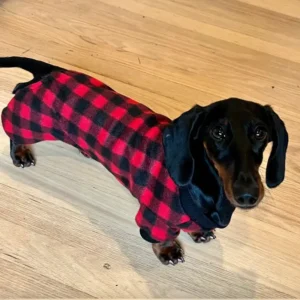 Plaid Doxie Pjs