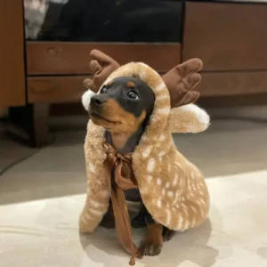 Reindeer Dachshund Christmas Costume