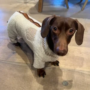 Soft Doxie Jumpsuits