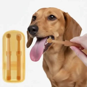 Dachshund Toothbrush