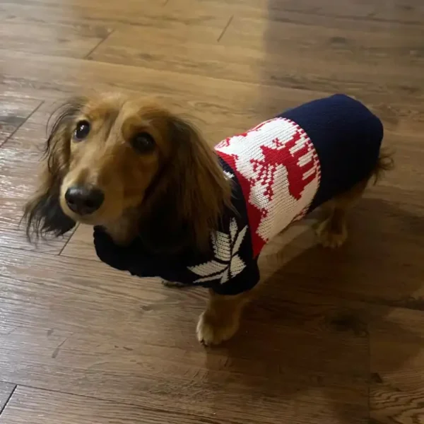 sausage-dog-christmas-sweater-weenieland-shop Sausage Dog Navy Christmas Sweater